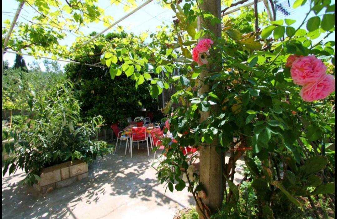 Ivan And Marica Guest House Lopud Εξωτερικό φωτογραφία