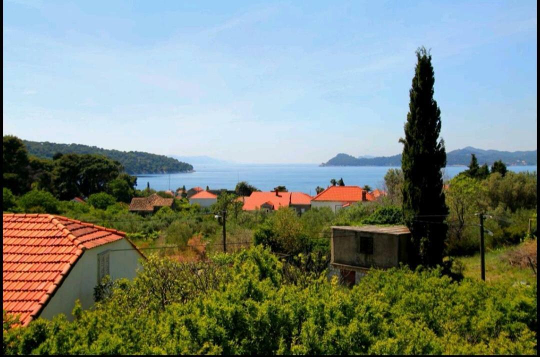 Ivan And Marica Guest House Lopud Εξωτερικό φωτογραφία