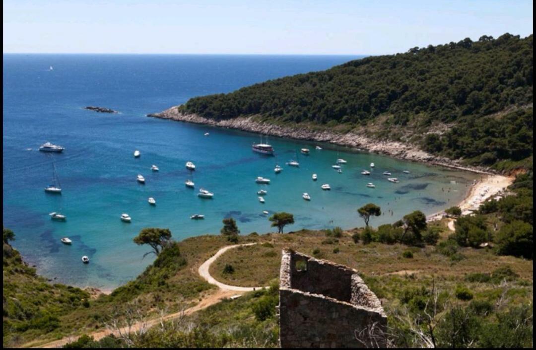 Ivan And Marica Guest House Lopud Εξωτερικό φωτογραφία