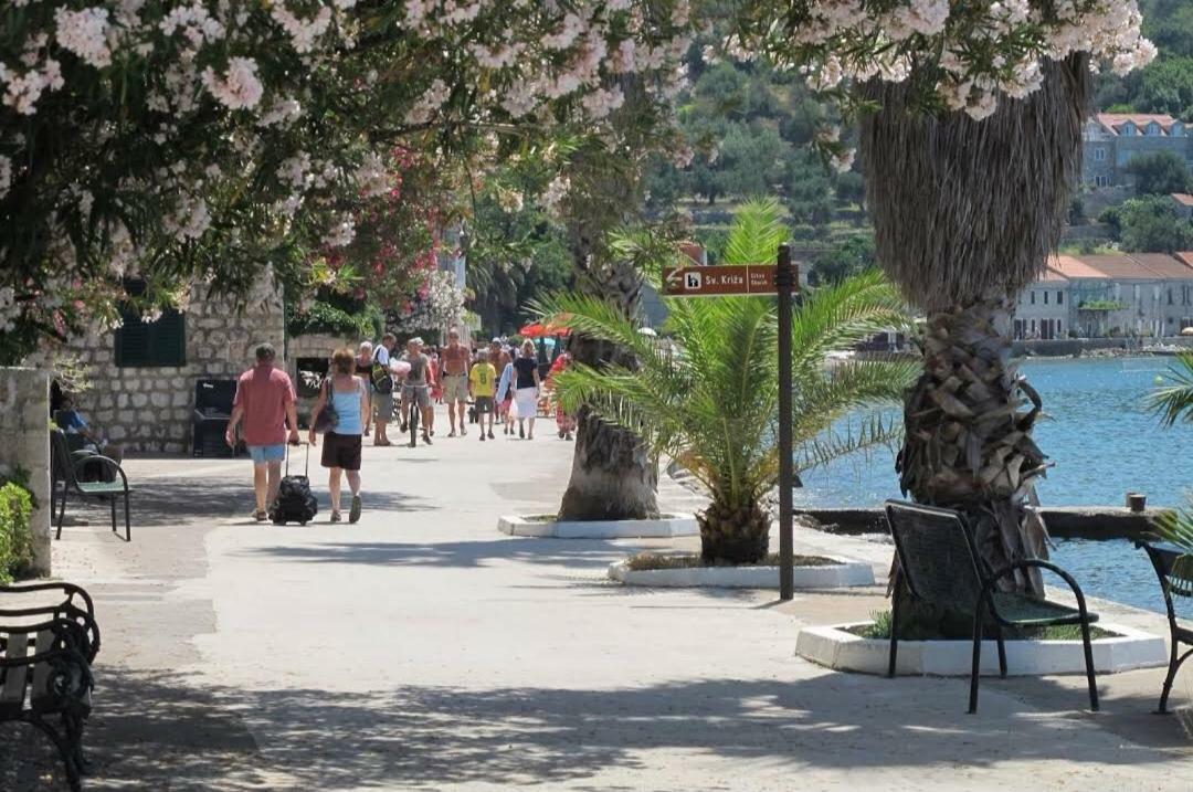 Ivan And Marica Guest House Lopud Εξωτερικό φωτογραφία