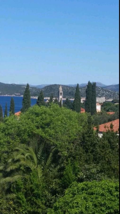 Ivan And Marica Guest House Lopud Εξωτερικό φωτογραφία