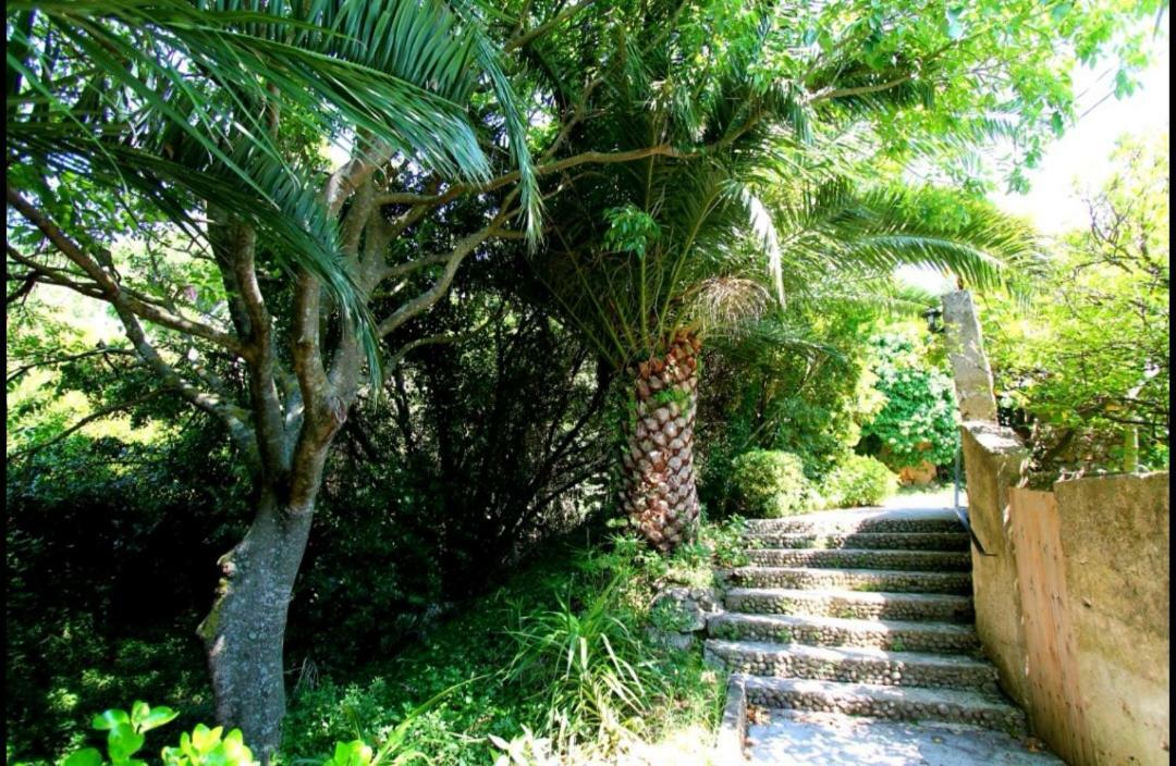 Ivan And Marica Guest House Lopud Εξωτερικό φωτογραφία