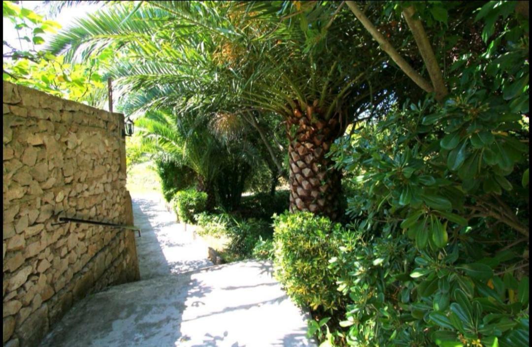 Ivan And Marica Guest House Lopud Εξωτερικό φωτογραφία